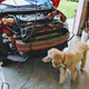 Illustration for article titled Fiesta ST - Quad Light Install